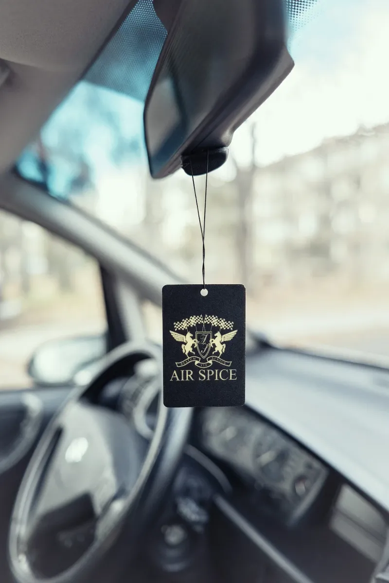 Хартиен парфюмен ароматизатор Блу - 0